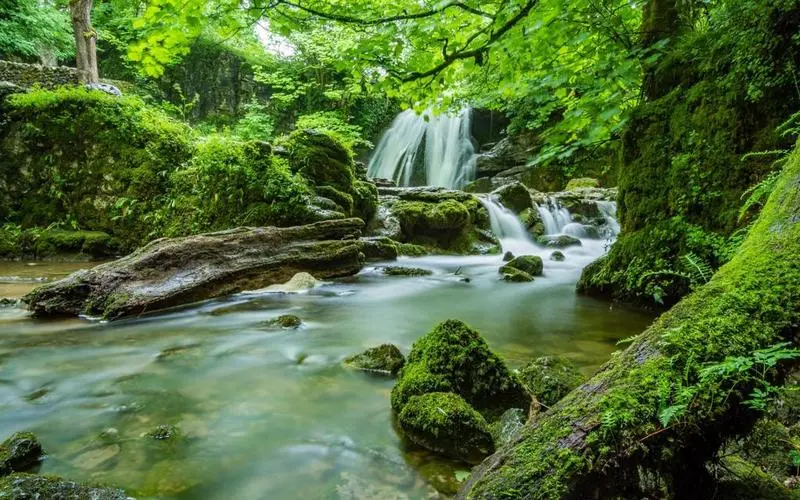 高效电子可靠性